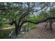 Scenic creek view with a tree swing hanging from a branch, creating a peaceful ambiance at 3431 Riderwood Dr, Dade City, FL 33523