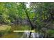 Scenic view of a tranquil creek surrounded by lush greenery at 3431 Riderwood Dr, Dade City, FL 33523