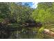 Picturesque view of a serene creek surrounded by verdant trees and foliage at 3431 Riderwood Dr, Dade City, FL 33523