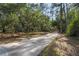 Long driveway leading up to the charming two-story home surrounded by lush greenery at 3431 Riderwood Dr, Dade City, FL 33523