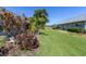 A lush, green lawn adorns the backyard, surrounded by tropical plants at 3819 Teeside Dr, New Port Richey, FL 34655