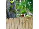 A cardinal perched on a wooden fence surrounded by lush greenery, providing a charming natural view at 6410 Spring Flower Dr # 26, New Port Richey, FL 34653