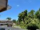 Exterior view from the upper floors of this property showing trees, neighborhood and nearby parking at 6410 Spring Flower Dr # 26, New Port Richey, FL 34653
