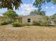 Backyard of a house at 7012 Ponderosa Dr, Tampa, FL 33637