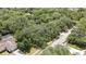 An aerial shot showing a property surrounded by greenery in a serene, established neighborhood at 7233 Royal Oak Dr, Spring Hill, FL 34607