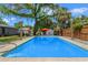 Backyard pool area with privacy fence at 800 N Walton Ave, Tarpon Springs, FL 34689