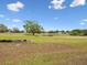 Scenic backyard view with an expansive green field and a tranquil pond at 13618 Niti Dr, Hudson, FL 34669