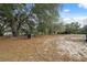 Large backyard with mature trees, offering plenty of space for outdoor activities and relaxation at 14545 Battenwood Dr, Spring Hill, FL 34610