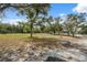 Expansive open yard space with scattered trees, ideal for recreation or development at 14545 Battenwood Dr, Spring Hill, FL 34610