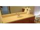 Bathroom vanity with sink, mirror, and cabinetry, offering modern convenience and stylish design at 1514 Citrine Trl, Tarpon Springs, FL 34689