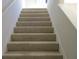 Carpeted staircase with white walls, offering a clean and modern look at 1514 Citrine Trl, Tarpon Springs, FL 34689