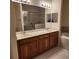 Bathroom featuring double sinks, ample counter space, and a walk-in shower at 21041 Sunpoint Way # 202, Lutz, FL 33558