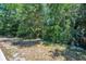 Discover a backyard showcasing natural landscaping with mature trees offering great shade, creating a serene outdoor space at 2660 Orangewood Ct, Palm Harbor, FL 34684