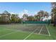 Outdoor tennis courts feature green playing surfaces, white lines, and views of trees at 5931 Precious View Ct, New Port Richey, FL 34655