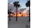 Picturesque sunset beach scene with palm trees silhouetted against the colorful sky at 840 Virginia St # 202, Dunedin, FL 34698