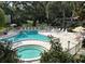 An outdoor pool with plenty of seating, surrounded by mature trees at 840 Virginia St # 202, Dunedin, FL 34698