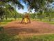 A charming wooden playground with a slide, swings, and climbing features, set in a community park at 10187 Holly Berry Dr, Weeki Wachee, FL 34613