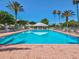 Bright pool area on a clear day, surrounded by lounge chairs and palm trees at 10187 Holly Berry Dr, Weeki Wachee, FL 34613
