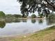 Picturesque view of a calm lake surrounded by lush greenery and residential properties at 1121 Riveredge Dr, Tarpon Springs, FL 34689