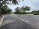 Expansive asphalt parking area with clear white line markings and shaded by mature trees at 1121 Riveredge Dr, Tarpon Springs, FL 34689