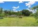 Large backyard with lush trees in the background at 12539 Wetmore Ct, Odessa, FL 33556