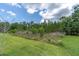 Green backyard with lush trees in the background at 12539 Wetmore Ct, Odessa, FL 33556