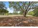 Expansive backyard offers ample space for outdoor activities, complemented by mature trees and natural surroundings at 14740 Loma Ave, Spring Hill, FL 34610