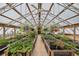 Inside view of a greenhouse with rows of plants and a ceiling fan for air circulation at 14740 Loma Ave, Spring Hill, FL 34610