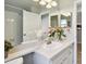 Bathroom featuring a bright vanity area with decor and access to the shower at 1486 Loman Ct, Palm Harbor, FL 34683