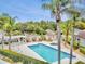 An aerial view of a community pool surrounded by lush landscaping and comfortable lounge chairs at 1723 Cortleigh Dr, Trinity, FL 34655