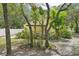 Landscaped backyard featuring trees, plants, and a patio area perfect for enjoying the outdoors at 18633 Oak Way Dr, Hudson, FL 34667