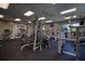 Full view of the fitness center with various weight machines, treadmills, and workout equipment at 19082 Umberland Pl, Land O Lakes, FL 34638