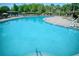 A large community pool surrounded by lounge chairs, umbrellas, and well-maintained landscaping at 19082 Umberland Pl, Land O Lakes, FL 34638