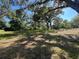 Exterior view of a vacant lot with mature shade trees and new construction at 20064 Manecke Rd, Brooksville, FL 34601