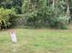 Large backyard lined with mature trees offering shade and privacy at 2850 Westmoreland Ct, New Port Richey, FL 34655