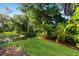 Lush backyard featuring beautiful tropical landscaping, healthy green lawn, and a tranquil creek view at 3119 Oyster Bayou Way, Clearwater, FL 33759