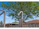 Enjoy an outdoor shower in this backyard retreat, surrounded by lush greenery and a sunny sky at 3534 Cockatoo Dr, New Port Richey, FL 34652