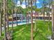 Backyard features a screened-in pool and verdant landscaping, surrounded by mature trees providing ample shade at 4541 School Rd, Land O Lakes, FL 34638
