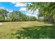 Expansive grassy field, ideal for various outdoor activities and recreation, surrounded by mature trees at 4541 School Rd, Land O Lakes, FL 34638