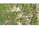 Aerial view showing the property lines, surrounded by a lush landscape of trees with a pool in the distance at 5113 Cedar Ln, Brooksville, FL 34601