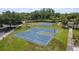 Aerial view of the community's well-maintained blue basketball courts in a green space at 6125 Desert Peace Ave, Land O Lakes, FL 34639