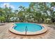 Sparkling community pool with lounge chairs and a paved patio under mature shade trees at 956 Franklin Ct, Palm Harbor, FL 34683