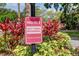 Signage indicating 24/7 video recording for flock safety, surrounded by decorative plants and landscaping at 10910 Winter Oak Pl, Tampa, FL 33618