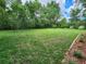 Expansive backyard with well-maintained lawn, mature trees, and meticulous landscaping for serene outdoor enjoyment at 12270 Clarendon Ct, Spring Hill, FL 34609