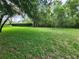 Lush backyard with green grass and mature trees offers a peaceful and private outdoor space to enjoy at 12270 Clarendon Ct, Spring Hill, FL 34609