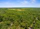 Expansive aerial view of heavily treed property, showcasing its size and potential for privacy and nature enjoyment at 14145 Citrus Way, Brooksville, FL 34601