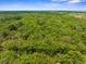Expansive aerial view showcases lush greenery and surrounding wooded area at 14145 Citrus Way, Brooksville, FL 34601