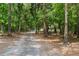 Long, tree-lined driveway leading to a secluded home in a wooded setting at 14145 Citrus Way, Brooksville, FL 34601