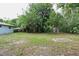 Large backyard with mature trees and green grass, offering space for outdoor activities at 18838 Rosephil St, Spring Hill, FL 34610