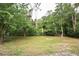Lush backyard with mature trees, offering a private and serene outdoor space at 18838 Rosephil St, Spring Hill, FL 34610